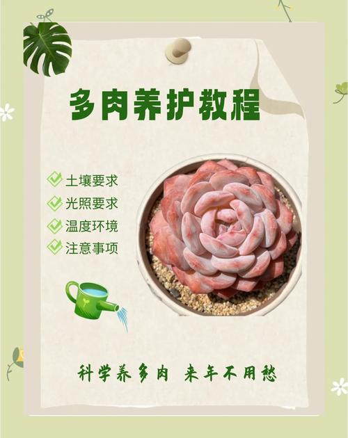多肉养护知识怎么下载才靠谱？-第1张图片-吾爱花网