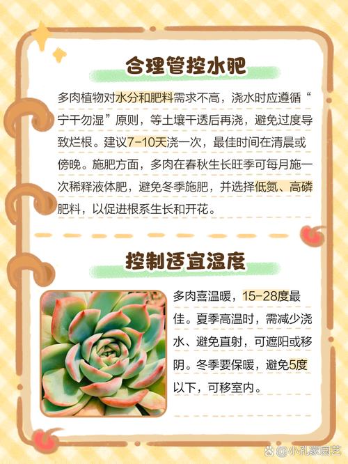 多肉叶子裂开，急救方法有哪些？-第2张图片-吾爱花网