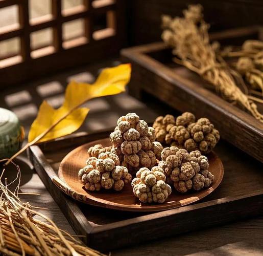 盆栽三七怎么插杆？图片视频有技巧吗？-第2张图片-吾爱花网