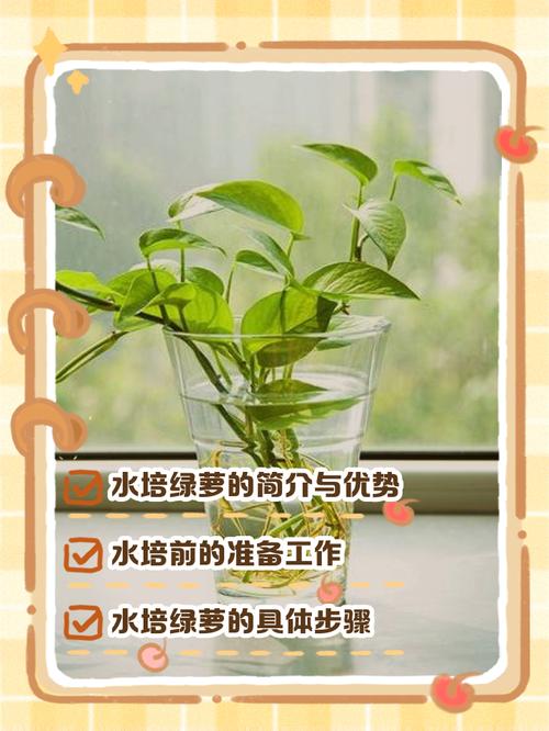 水培植物水干了该怎么补救？-第2张图片-吾爱花网