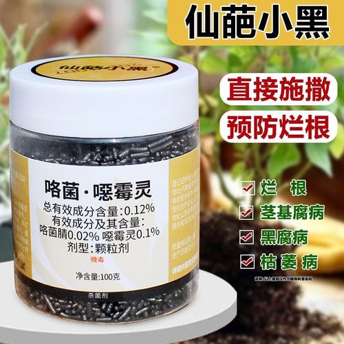 多肉土壤如何有效杀菌消毒？-第2张图片-吾爱花网