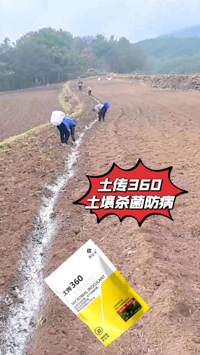 多肉土壤如何有效杀菌消毒？-第3张图片-吾爱花网