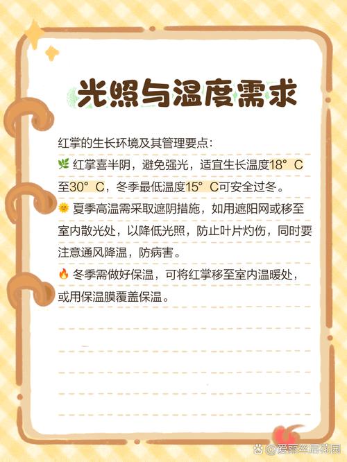 水培红掌烂叶怎么办？-第3张图片-吾爱花网