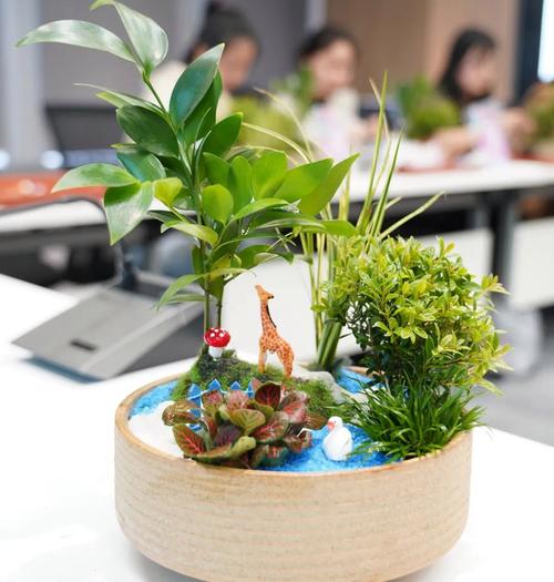 DIY盆栽植物是什么？新手怎么入门？-第2张图片-吾爱花网