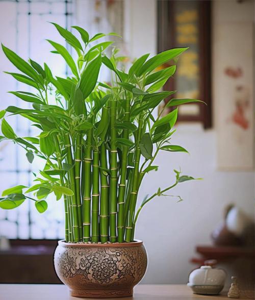 卧室盆栽选不好？这些才适合放！-第1张图片-吾爱花网