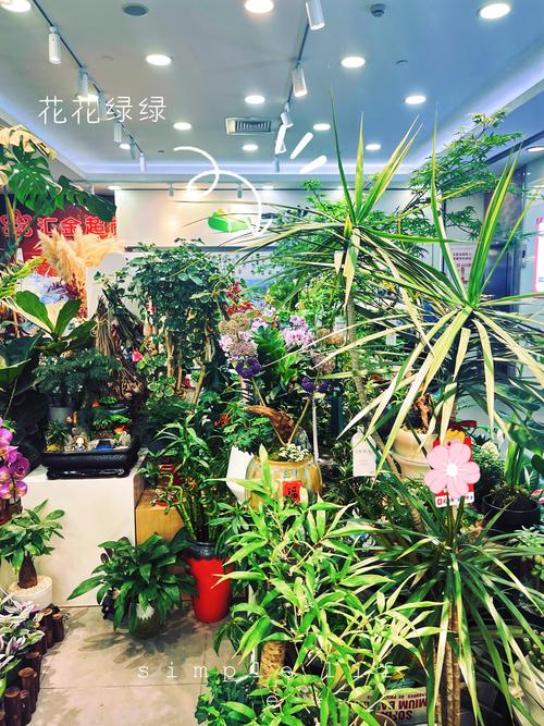 绿植盆栽店名怎么取？有哪些好听的？-第2张图片-吾爱花网