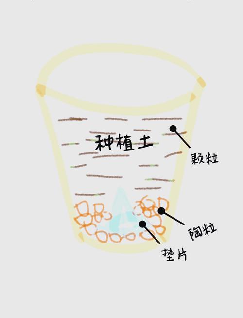 盆栽土壤肥力怎么快速提高？-第2张图片-吾爱花网