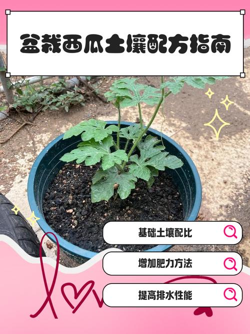 盆栽土壤肥力怎么快速提高？-第3张图片-吾爱花网