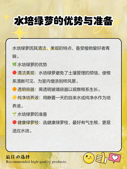 水培绿萝如何爬墙？-第1张图片-吾爱花网