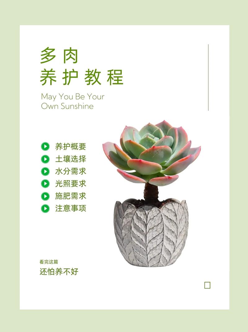 多肉状态不同,浇水咋判断?-第3张图片-吾爱花网 多肉状态不同,浇水咋判断?-第3张图片-吾爱花网