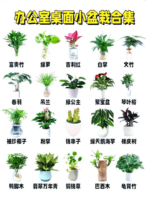 盆景与盆栽究竟有何本质区别？-第3张图片-吾爱花网