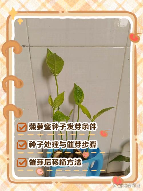 盆栽种子怎么种植方法-第1张图片-吾爱花网 盆栽种子怎么种植方法-第1张图片-吾爱花网