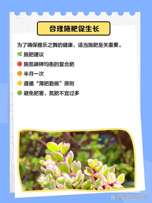 雅乐之舞怎么繁殖?-第2张图片-吾爱花网 雅乐之舞怎么繁殖?-第2张图片-吾爱花网