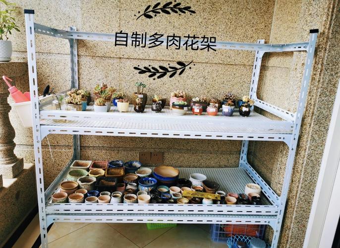 自制多肉棚架怎么搭才实用？-第1张图片-吾爱花网