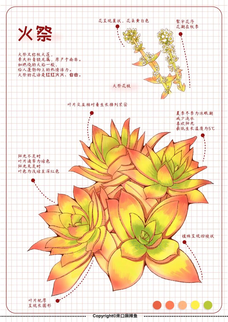 火祭繁殖有几种方法？-第1张图片-吾爱花网