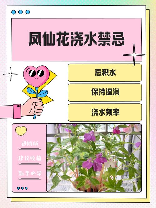 鲜花为何不能水培?-第1张图片-吾爱花网 鲜花为何不能水培?-第1张图片-吾爱花网