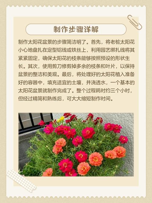 手工盆栽名称及图片男有哪些？-第3张图片-吾爱花网