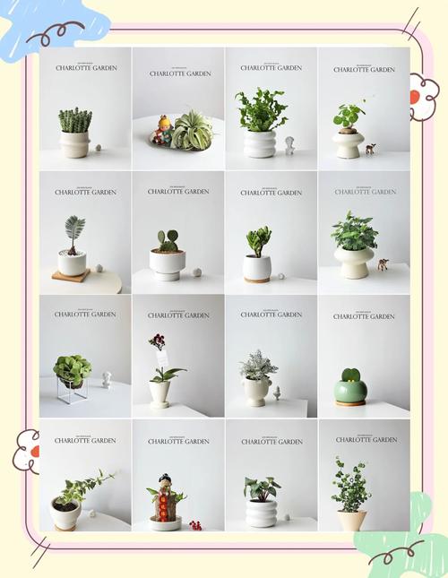 手工盆栽名称及图片男有哪些？-第2张图片-吾爱花网