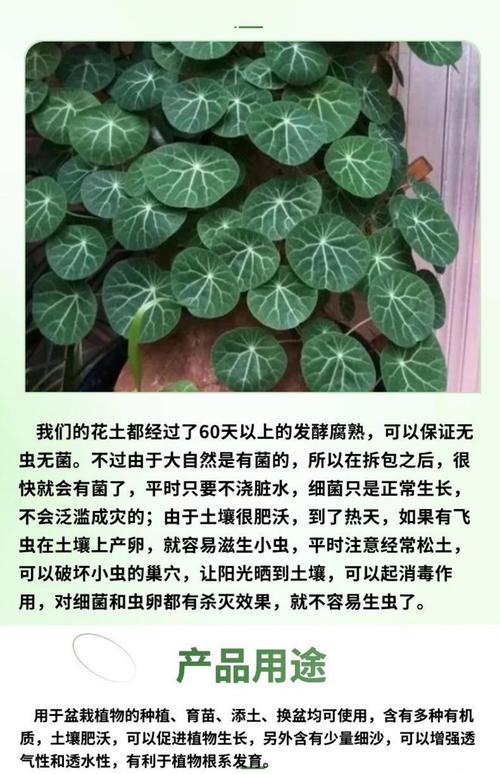 山盆栽有哪些好处?-第1张图片-吾爱花网 山盆栽有哪些好处?-第1张图片-吾爱花网