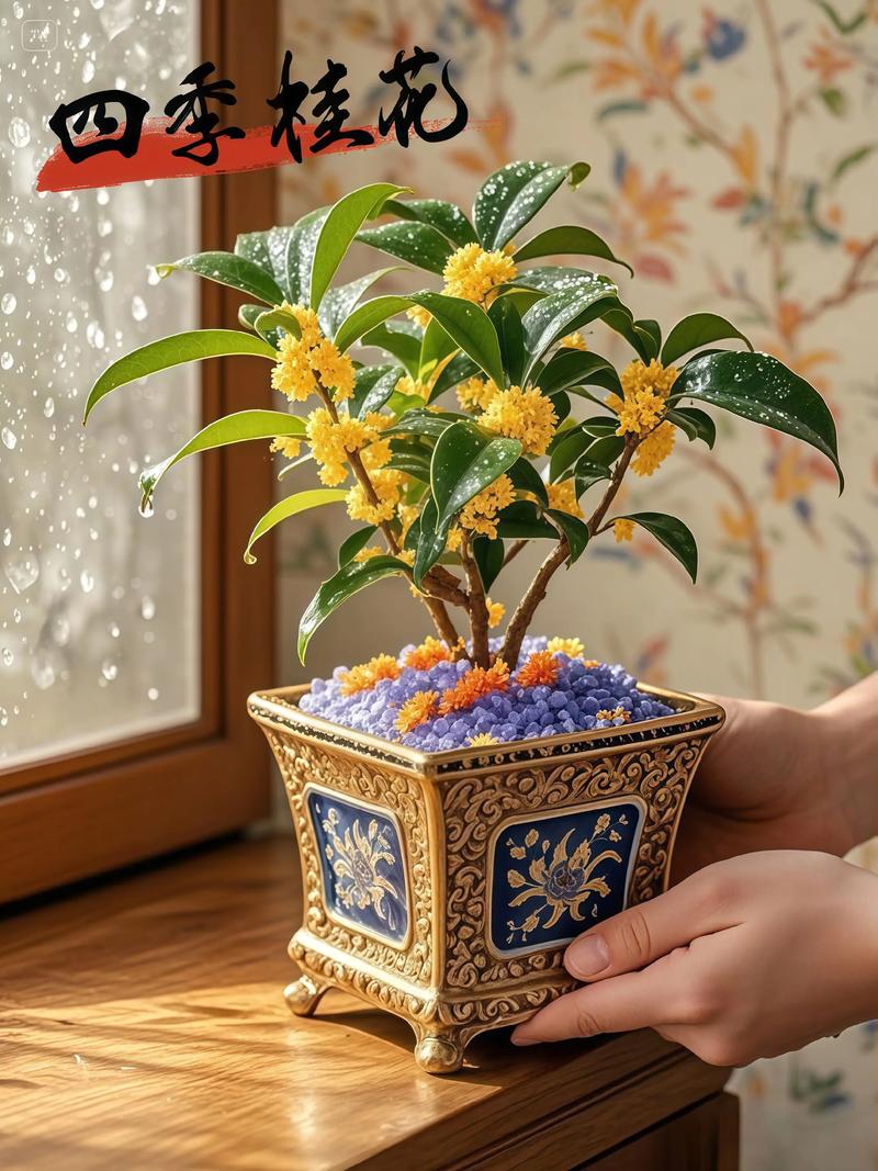 盆栽桂花夏天需遮阴吗？-第3张图片-吾爱花网