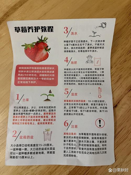 盆栽草莓怎么养才能结果多？-第2张图片-吾爱花网