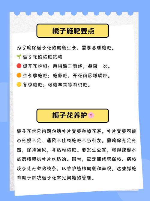 栀子水培盆栽怎么选？-第1张图片-吾爱花网