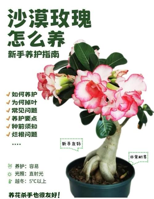 盆栽花卉沙子怎么选和处理？-第2张图片-吾爱花网