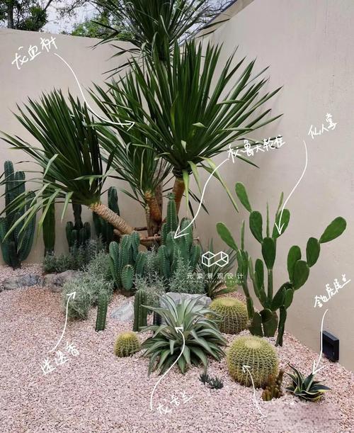 盆栽花卉沙子怎么选和处理？-第1张图片-吾爱花网