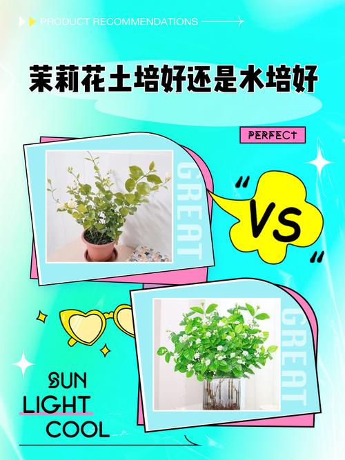 盆栽茉莉需要什么样的土壤?-第2张图片-吾爱花网 盆栽茉莉需要什么样的土壤?-第2张图片-吾爱花网