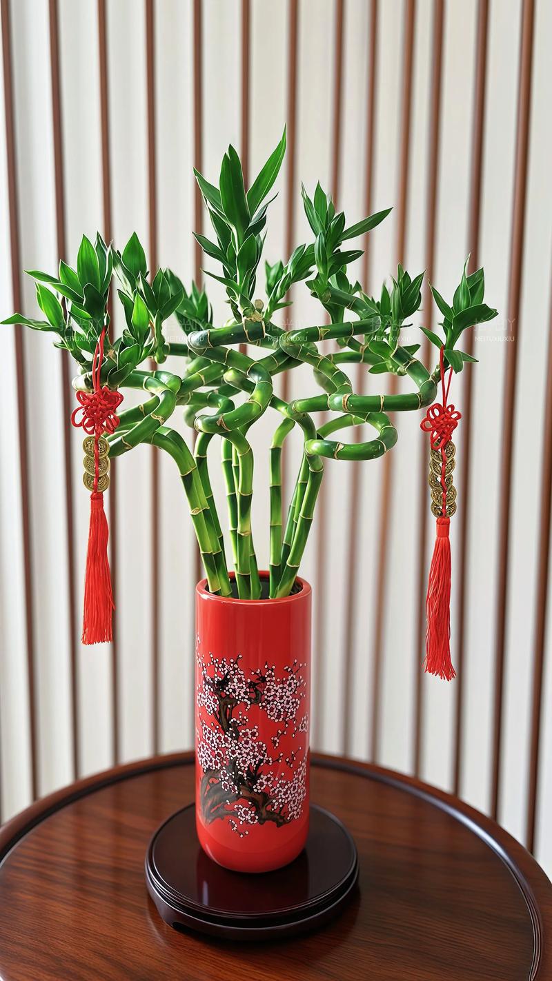 家里盆栽能种竹子吗？-第1张图片-吾爱花网