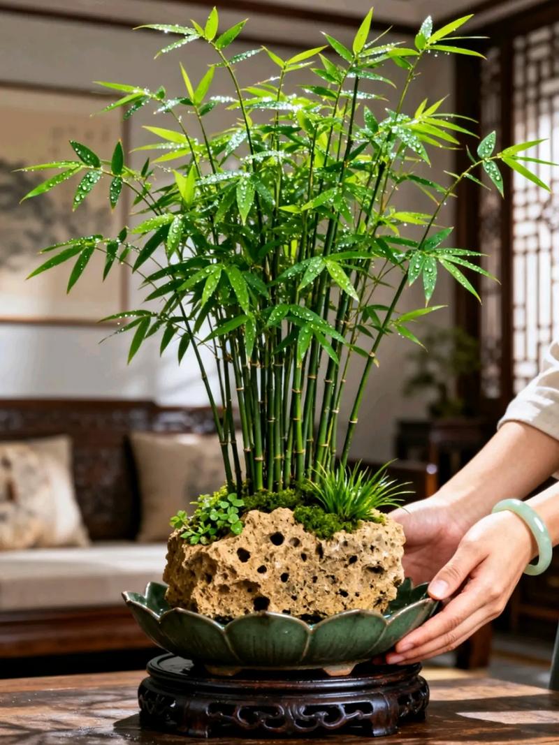 家里盆栽能种竹子吗？-第3张图片-吾爱花网