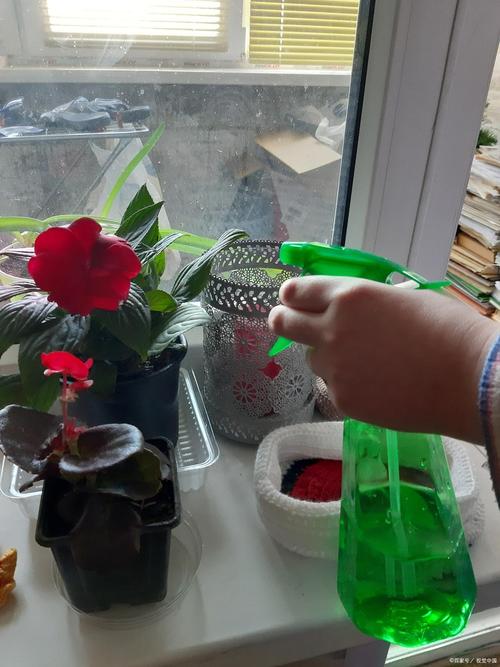 水培营养液能浇土培花吗？-第2张图片-吾爱花网