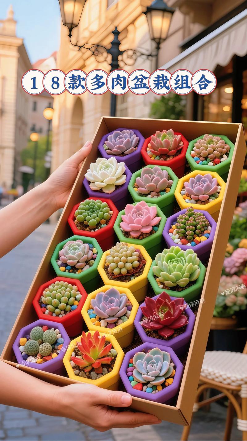 多肉组合盆栽怎么做？-第1张图片-吾爱花网