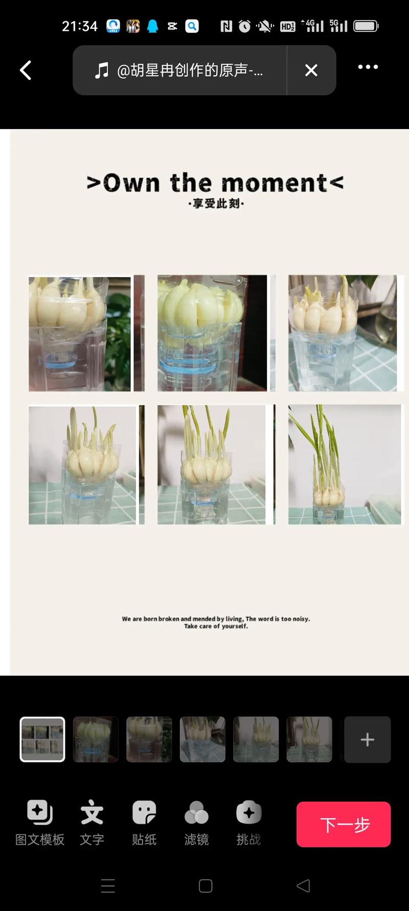 水培大蒜发臭了还能吃吗?-第2张图片-吾爱花网 水培大蒜发臭了还能吃吗?-第2张图片-吾爱花网