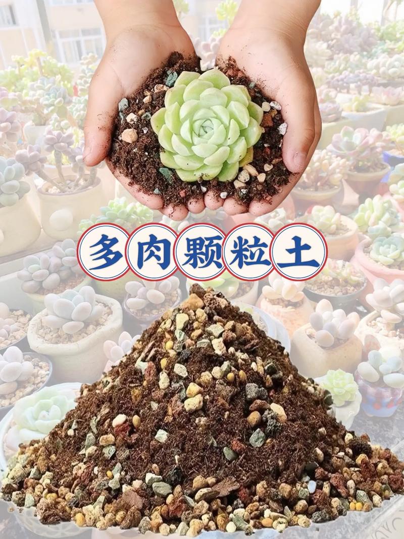 有机营养土适合种多肉吗？-第1张图片-吾爱花网