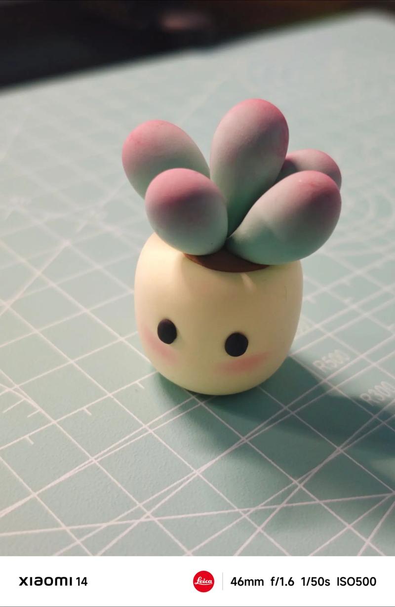 自制多肉养殖泥怎么配?-第3张图片-吾爱花网 自制多肉养殖泥怎么配?-第3张图片-吾爱花网