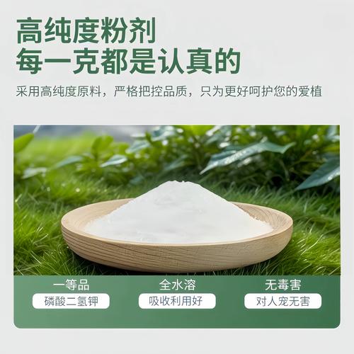 水培栀子花该用什么肥？-第2张图片-吾爱花网