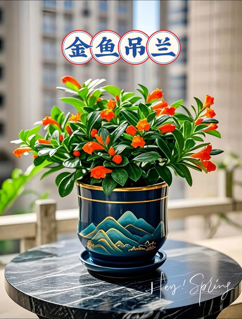 吊兰能直接放金鱼缸水培吗？-第1张图片-吾爱花网