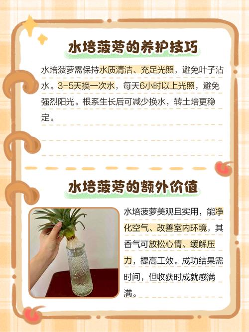 凤梨水培长期养护怎么做？-第3张图片-吾爱花网