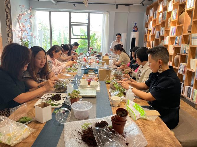 多肉植物漂亮包装有什么小技巧？-第1张图片-吾爱花网