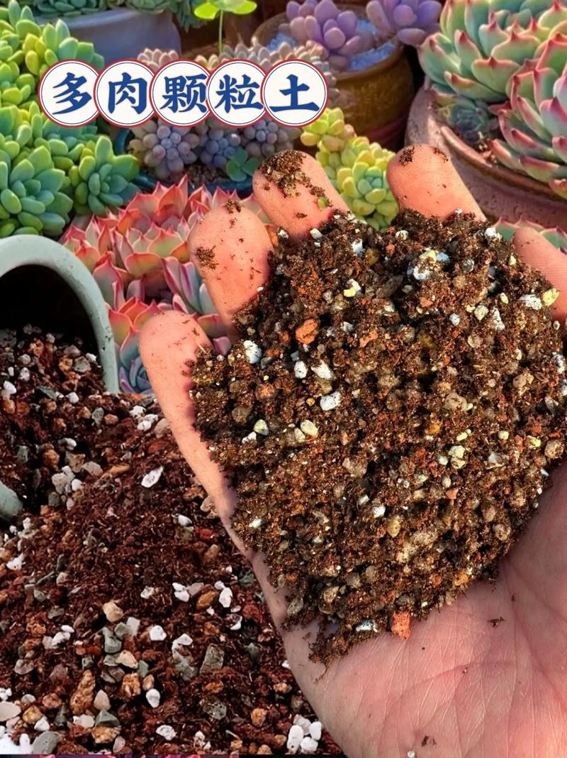 盆栽长期用土哪种最好？-第1张图片-吾爱花网