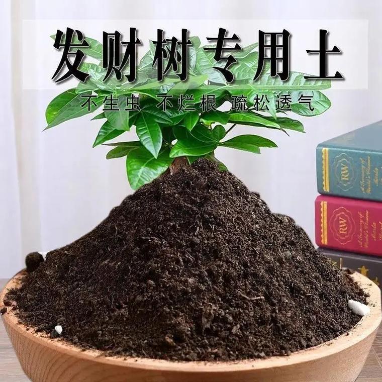 盆栽长期用土哪种最好？-第2张图片-吾爱花网