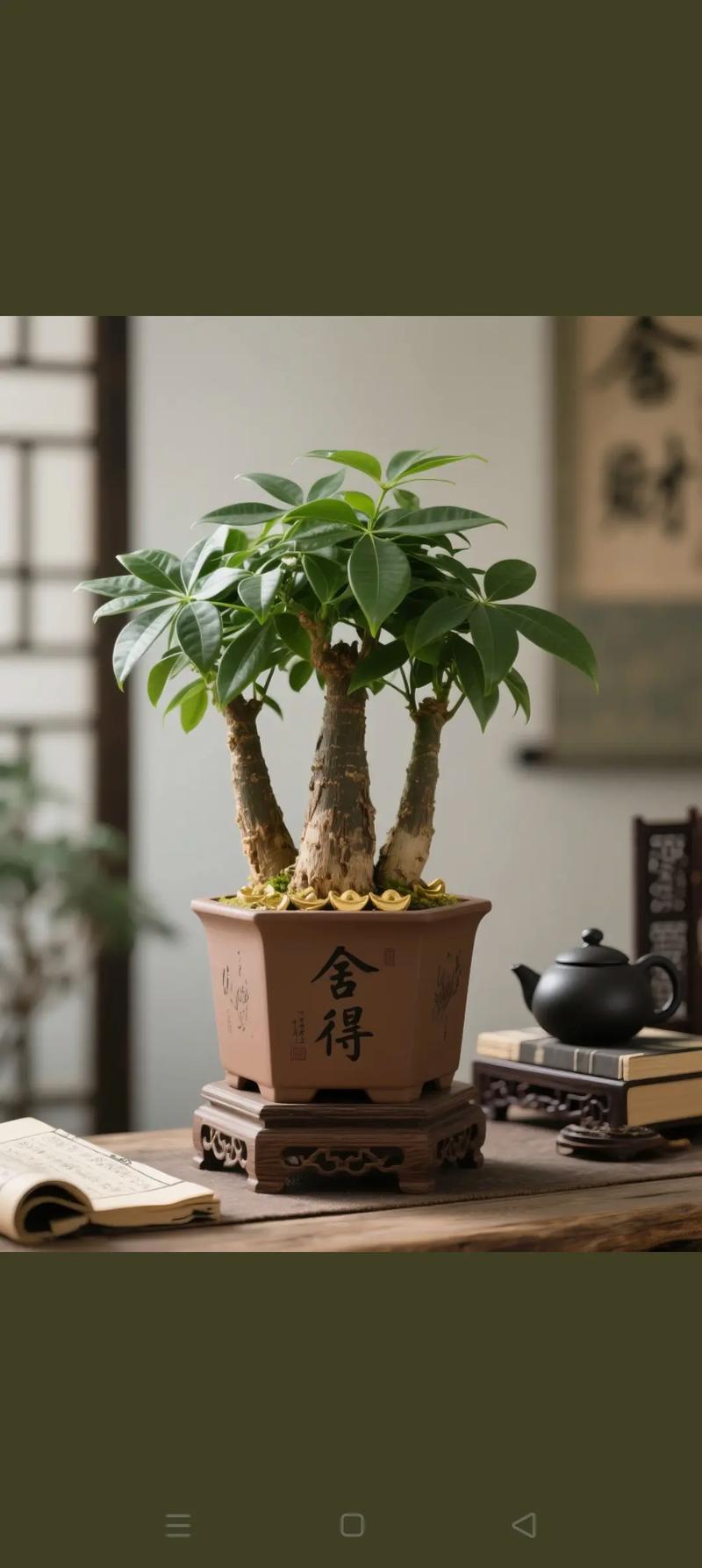 室内适合养哪些盆栽？-第2张图片-吾爱花网