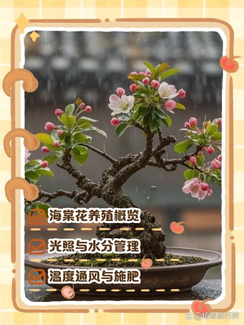 盆栽西府海棠浇水怎么浇才合适？-第2张图片-吾爱花网