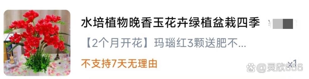 水培花上冻了还能活吗-第1张图片-吾爱花网