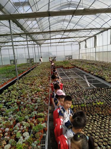 云南晋宁多肉大棚具体位置在哪？-第2张图片-吾爱花网