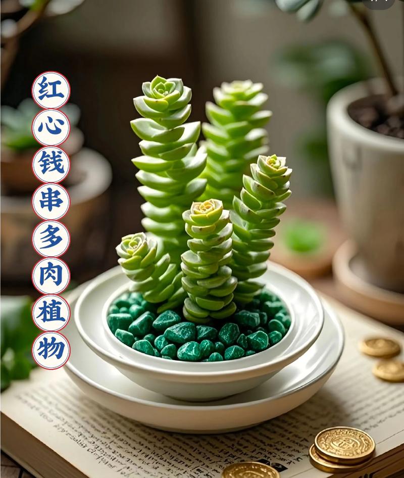 多肉盆栽怎么种?图片大全看这里!-第2张图片-吾爱花网 多肉盆栽怎么种?图片大全看这里!-第2张图片-吾爱花网