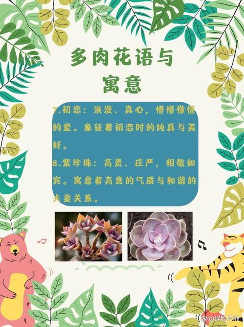 多肉植物有何寓意?-第2张图片-吾爱花网 多肉植物有何寓意?-第2张图片-吾爱花网