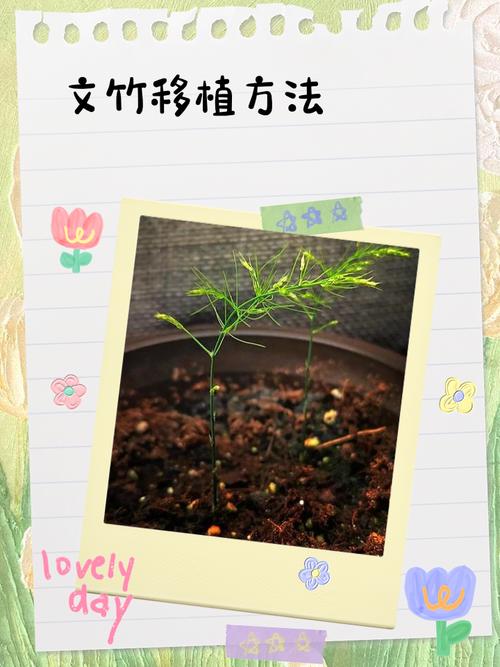 儿童教育盆栽怎么种？-第2张图片-吾爱花网