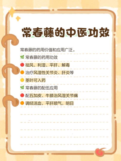 夏天常春藤能水培吗？-第2张图片-吾爱花网